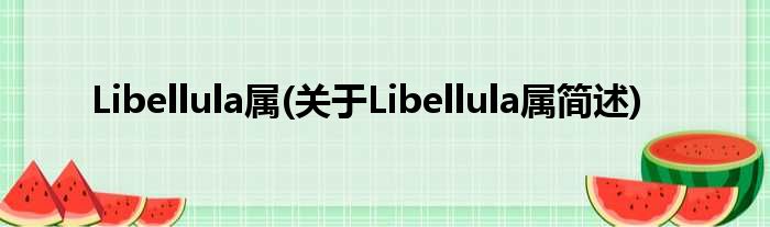 Libellula属(对于Libellula属简述)