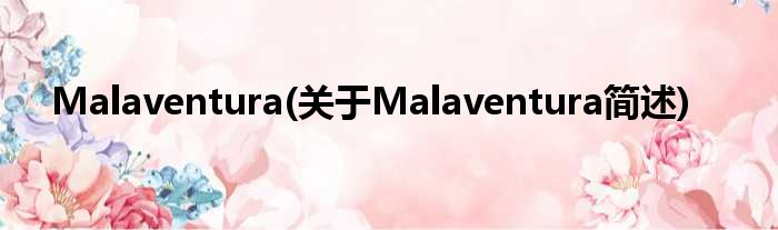 Malaventura(对于Malaventura简述)