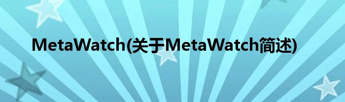 MetaWatch(对于MetaWatch简述)