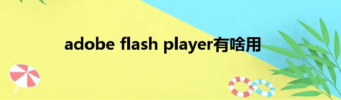 adobe flash player有啥用