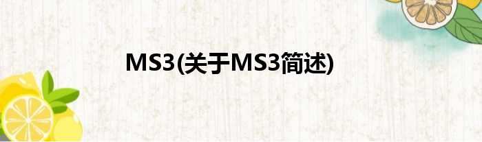 MS3(对于MS3简述)