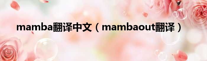mamba翻译中文（mambaout翻译）
