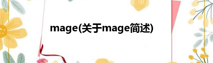 mage(对于mage简述)