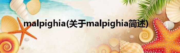 malpighia(对于malpighia简述)