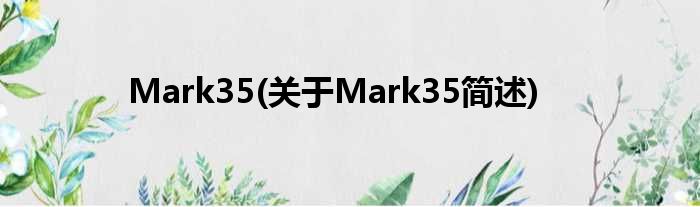 Mark35(对于Mark35简述)