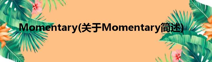 Momentary(对于Momentary简述)