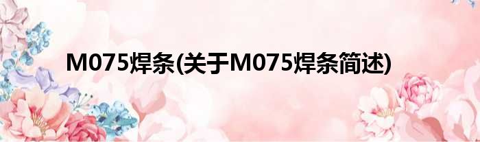 M075焊条(对于M075焊条简述)