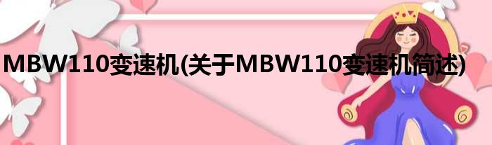 MBW110变速机(对于MBW110变速机简述)