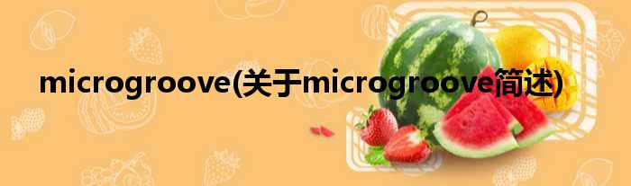 microgroove(对于microgroove简述)