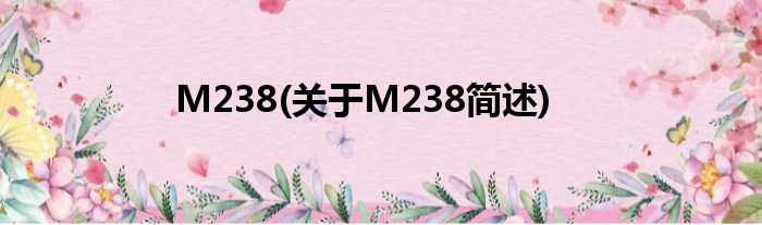M238(对于M238简述)