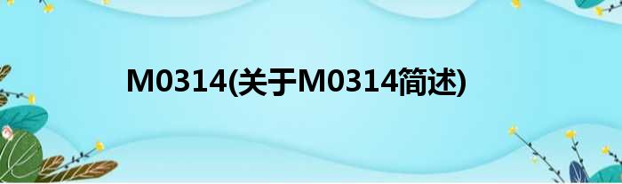 M0314(对于M0314简述)