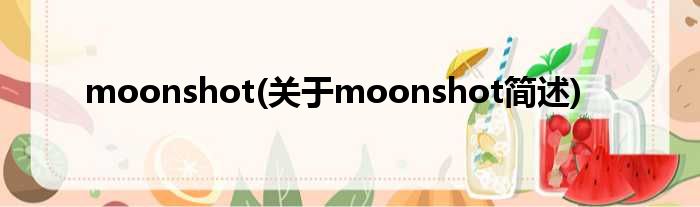 moonshot(对于moonshot简述)