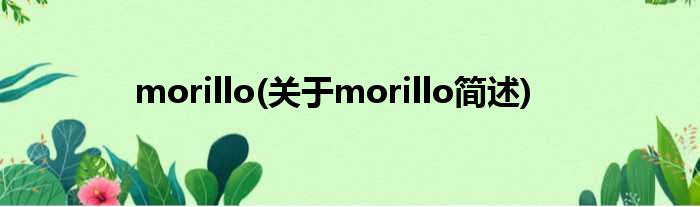 morillo(对于morillo简述)
