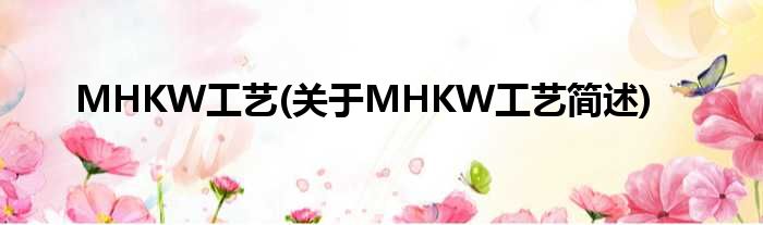MHKW工艺(对于MHKW工艺简述)