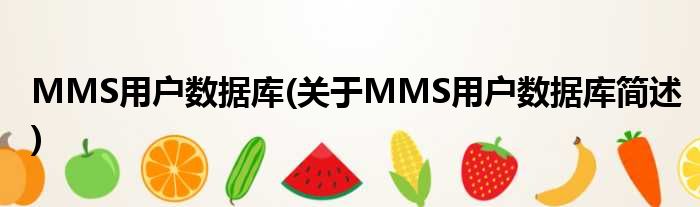 MMS用户数据库(对于MMS用户数据库简述)