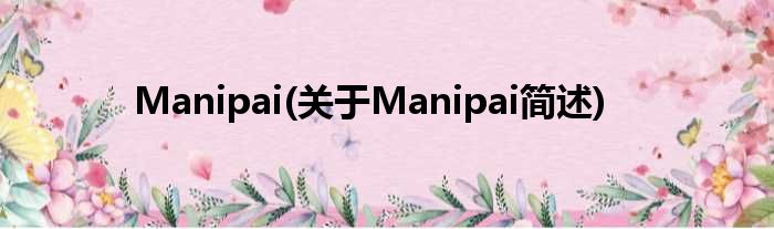 Manipai(对于Manipai简述)
