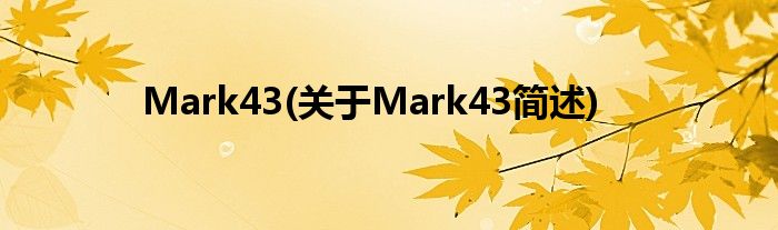 Mark43(对于Mark43简述)