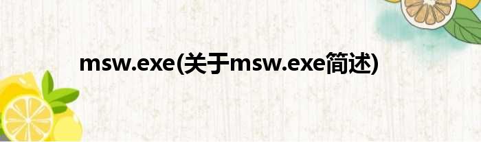 msw.exe(对于msw.exe简述)