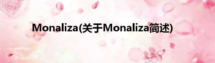 Monaliza(对于Monaliza简述)