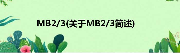 MB2/3(对于MB2/3简述)