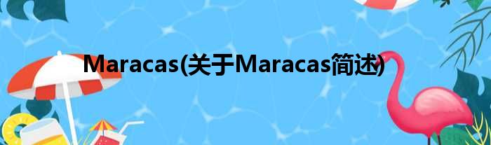Maracas(对于Maracas简述)