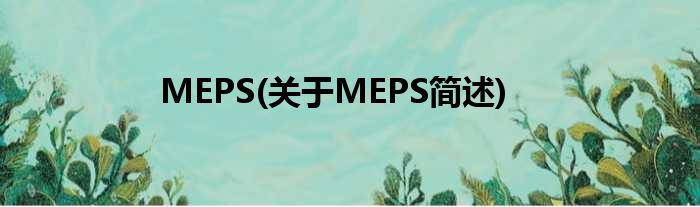 MEPS(对于MEPS简述)