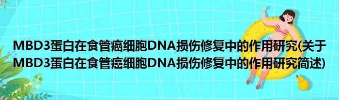 MBD3卵白在食管癌细胞DNA伤害修复中的熏染钻研(对于MBD3卵白在食管癌细胞DNA伤害修复中的熏染钻研简述)