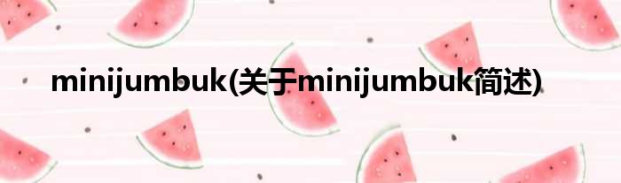 minijumbuk(对于minijumbuk简述)