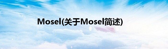 Mosel(对于Mosel简述)