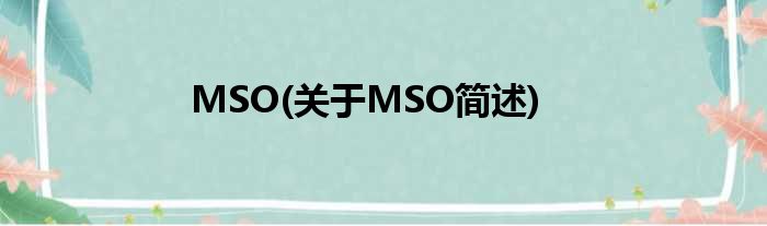 MSO(对于MSO简述)