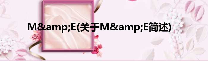 M&amp;E(对于M&amp;E简述)