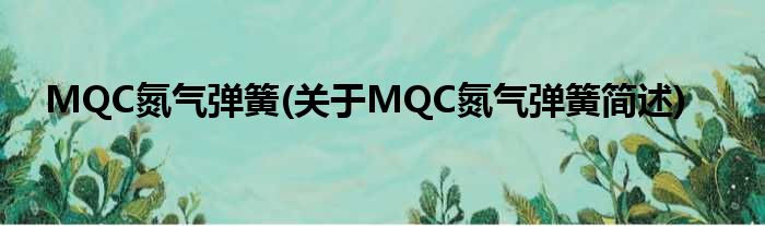 MQC氮气弹簧(对于MQC氮气弹簧简述)
