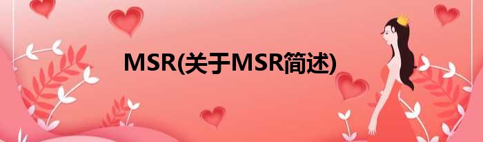 MSR(对于MSR简述)