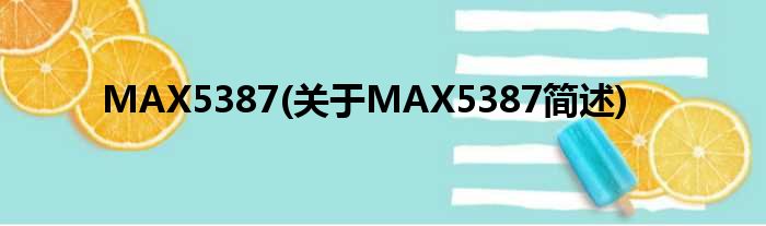 MAX5387(对于MAX5387简述)