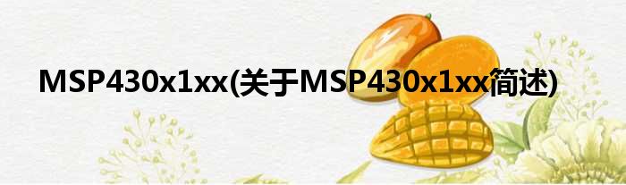 MSP430x1xx(对于MSP430x1xx简述)