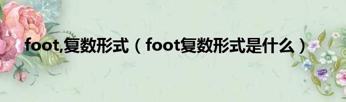 foot,单数方式（foot单数方式是甚么）