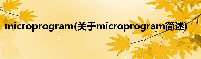 microprogram(对于microprogram简述)