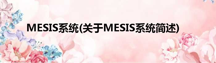 MESIS零星(对于MESIS零星简述)