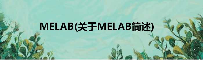 MELAB(对于MELAB简述)