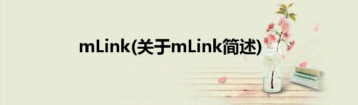 mLink(对于mLink简述)