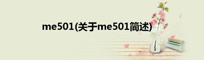 me501(对于me501简述)