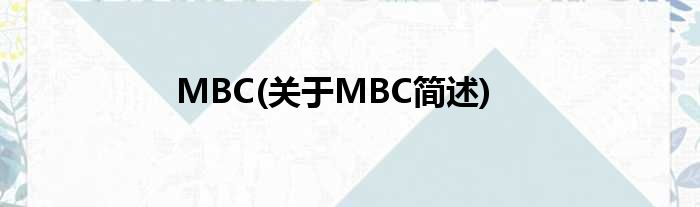 MBC(对于MBC简述)