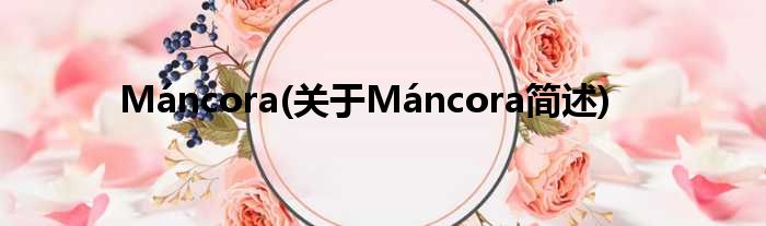 Máncora(对于Máncora简述)