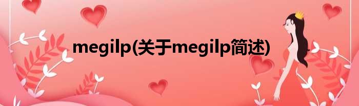 megilp(对于megilp简述)