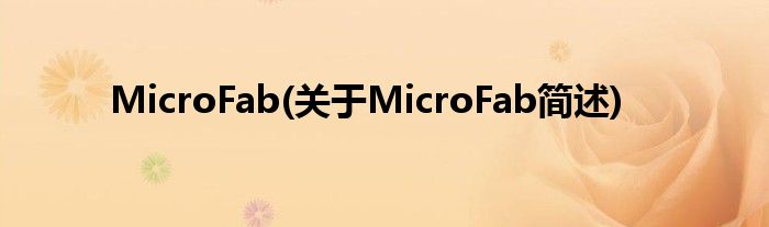 MicroFab(对于MicroFab简述)