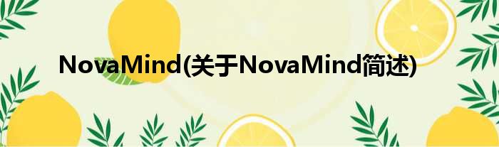 NovaMind(对于NovaMind简述)