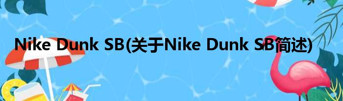 Nike Dunk SB(对于Nike Dunk SB简述)
