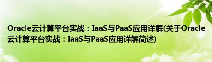 Oracle云合计平台实战：IaaS与PaaS运用详解(对于Oracle云合计平台实战：IaaS与PaaS运用详解简述)