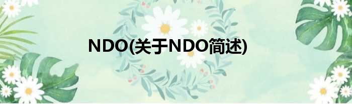 NDO(对于NDO简述)