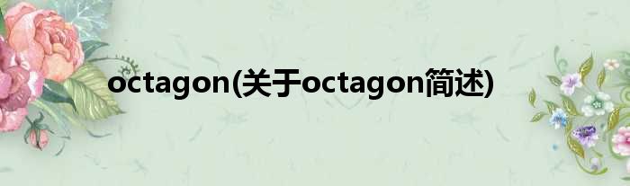octagon(对于octagon简述)